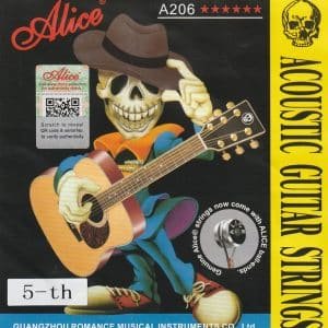 Alice_5th_string_bushahrmart_akmusicare